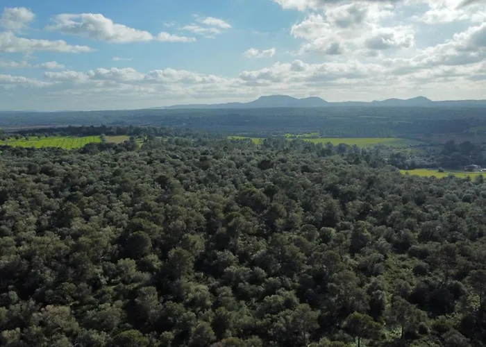 Magnifica Villa Tranquila En El Centro De Mallorca